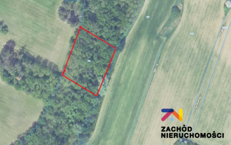 Grunt Leśny w Dąbrowie